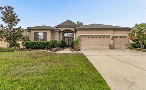 House in Land O' Lakes, Florida, United States 1
