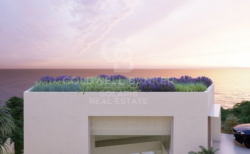 Land in Aspe, Valencian Community, Spain 1