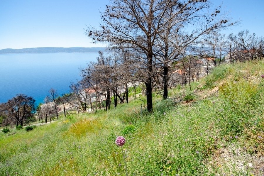 Land in Omis, Split-Dalmatia County, Croatia 2 - 18302215