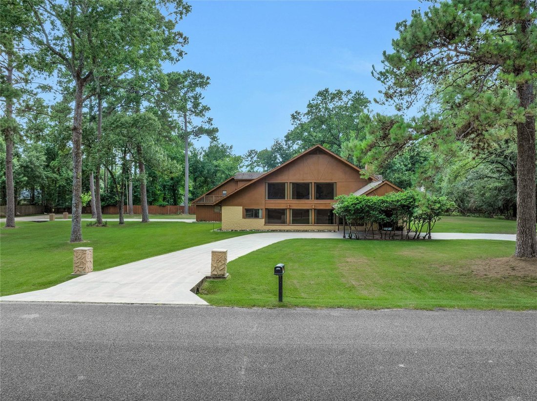 House in Conroe, Texas, United States 3 - 18302069