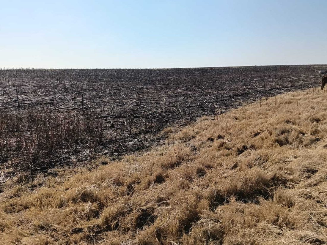Farm Ranch in Heilbron, Free State, South Africa 5 - 18298970