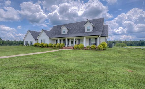Land in Sarepta, Louisiana, United States 1