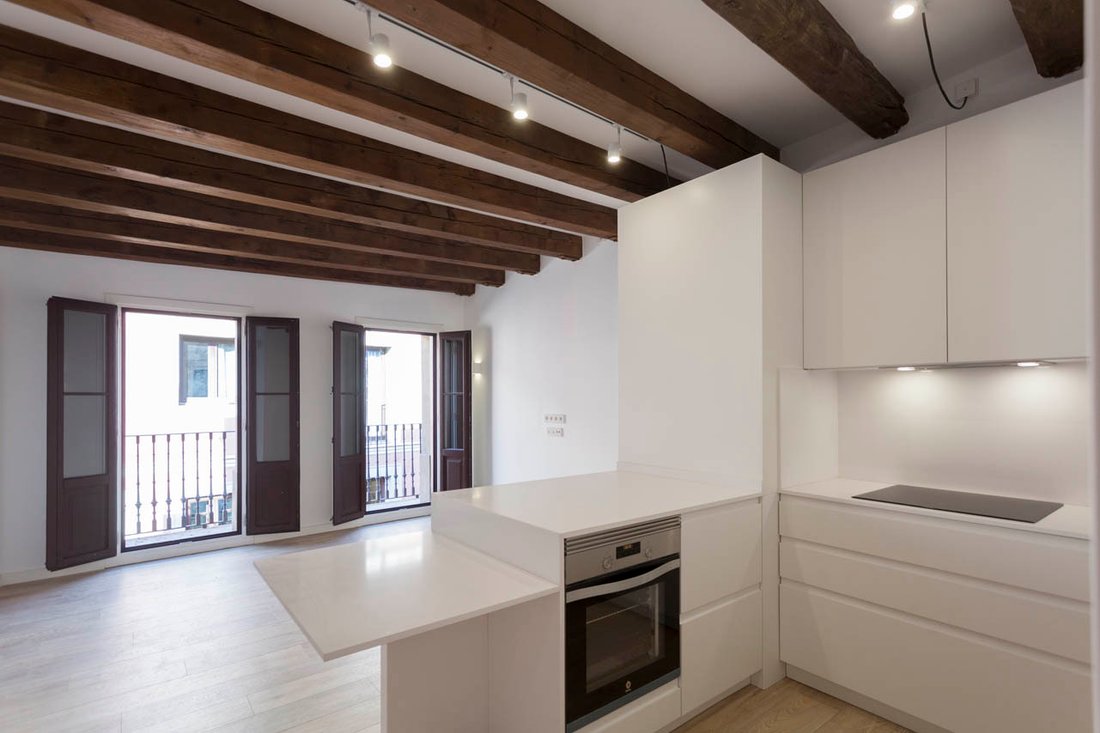 Apartment in Ciutat Vella, Barcelona, Spain 1 - 18299900