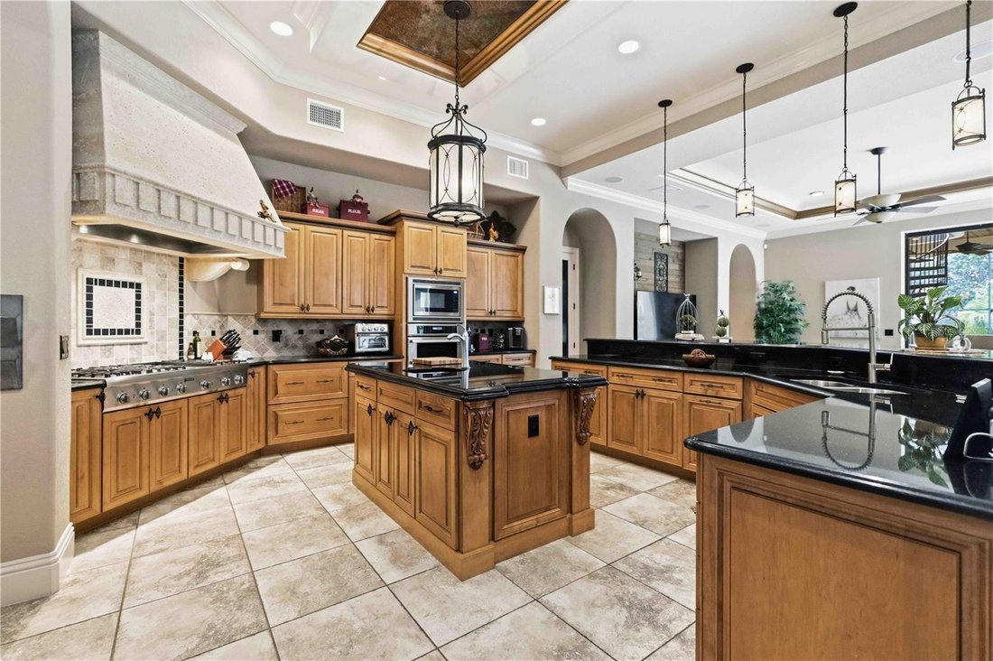 House in Lithia, Florida, United States 5 - 16395733