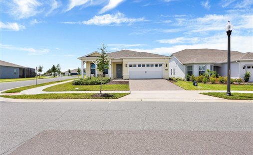 House in Winter Garden, Florida, United States 1