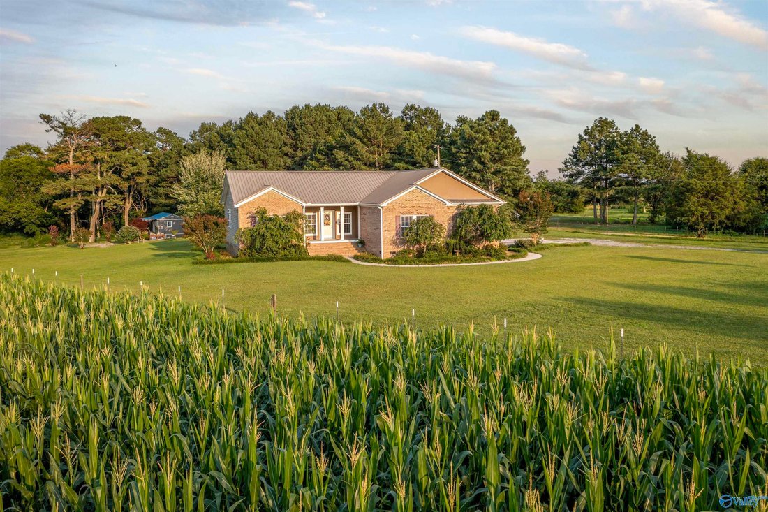 House in Albertville, Alabama, United States 1 - 18303818