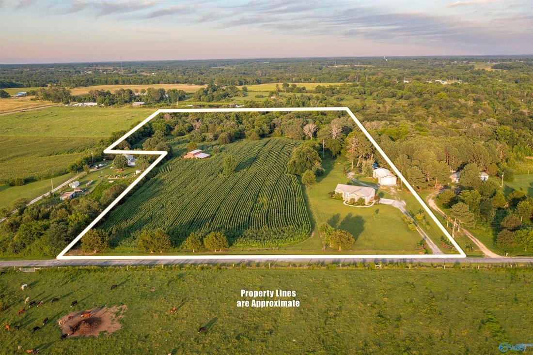 House in Albertville, Alabama, United States 3 - 18303818