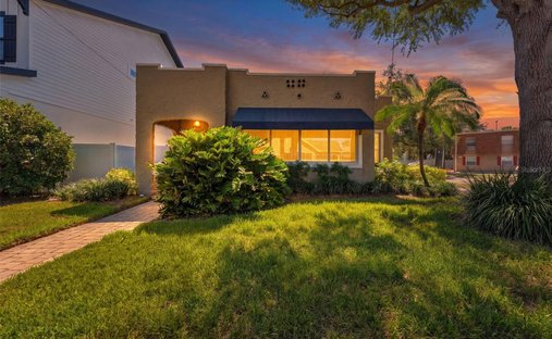 House in Tampa, Florida, United States 1