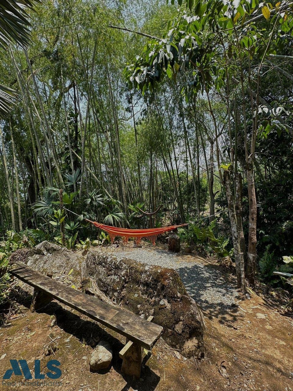 Finca in La Loma, Antioquia, Colombia 5 - 18304233