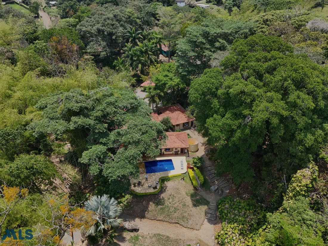 Finca in La Loma, Antioquia, Colombia 1 - 18304233
