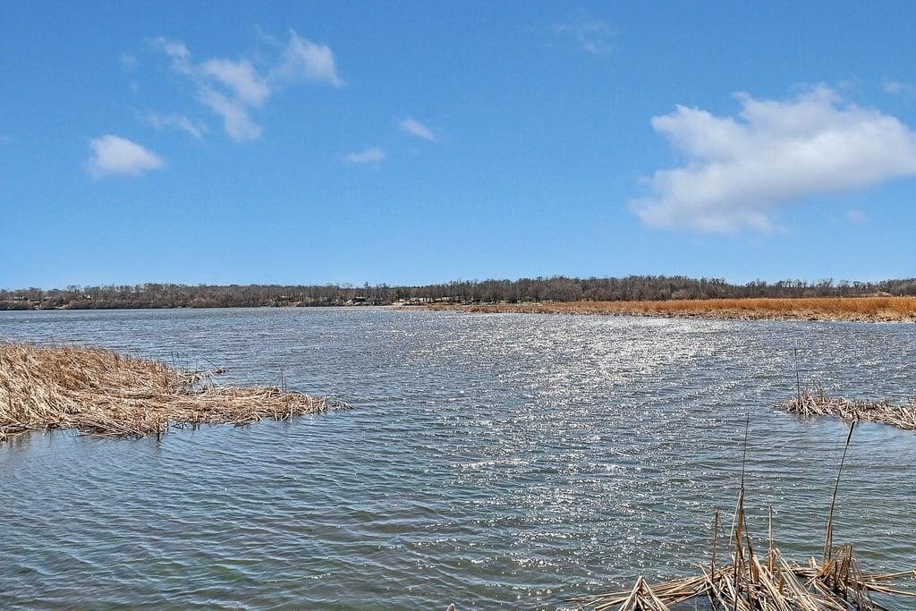 Paynesville, Minnesota, United States 4 - 17710747