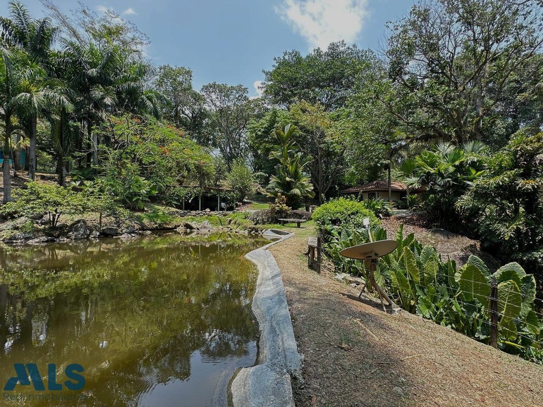 Finca in La Loma, Antioquia, Colombia 3 - 18304233