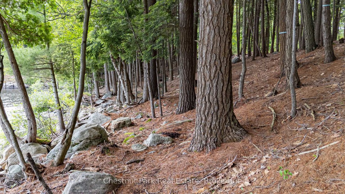 Land in Port Carling, Ontario, Canada 5 - 17870614
