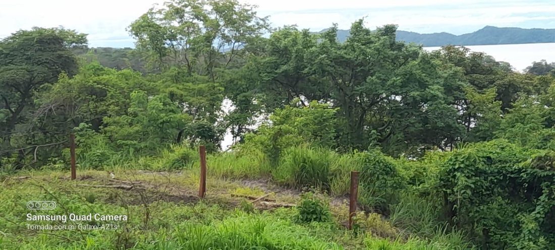 Land in Gigante, Puntarenas Province, Costa Rica 3 - 18304779