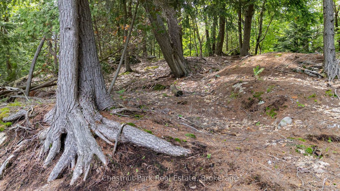 Land in Port Carling, Ontario, Canada 4 - 17870616
