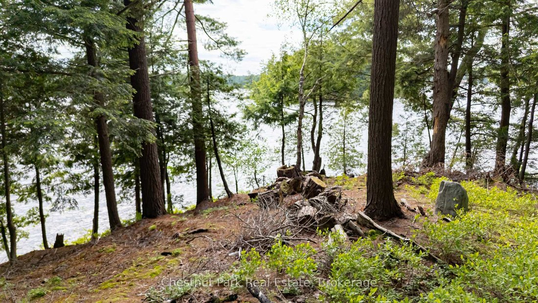 Terrain à Port Carling, Ontario, Canada 4 - 17870619