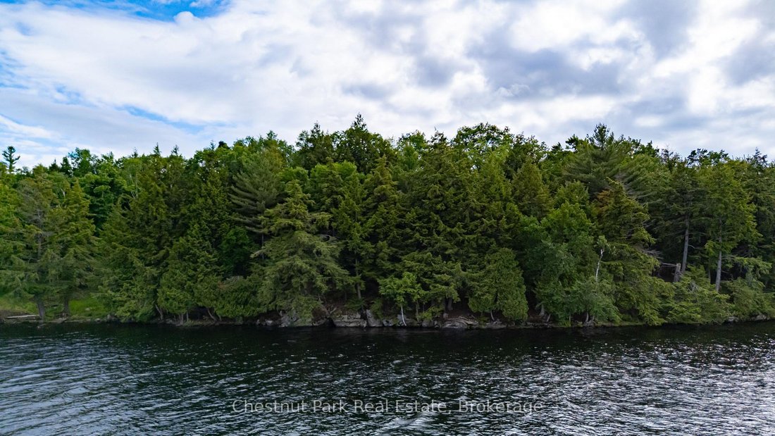 Land in Port Carling, Ontario, Canada 5 - 17870629