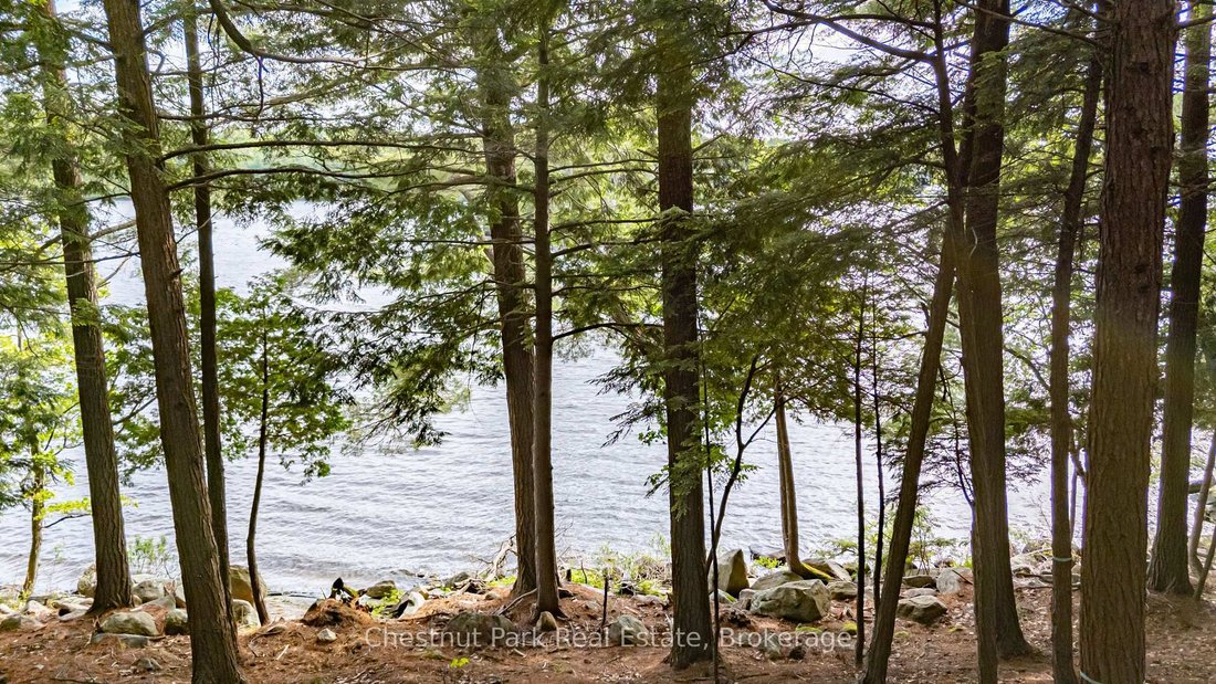 Land in Port Carling, Ontario, Canada 4 - 17870614