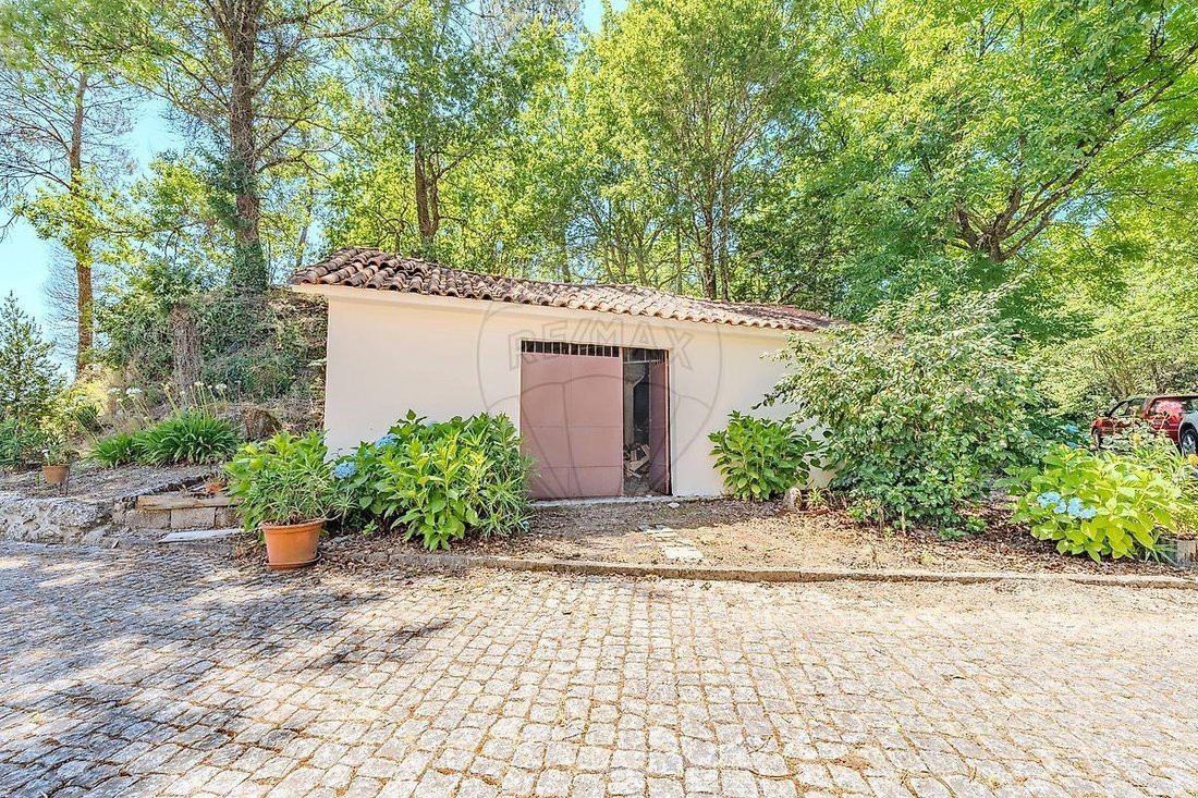 Villa in Cantelaes, Braga, Portugal 5 - 18304603