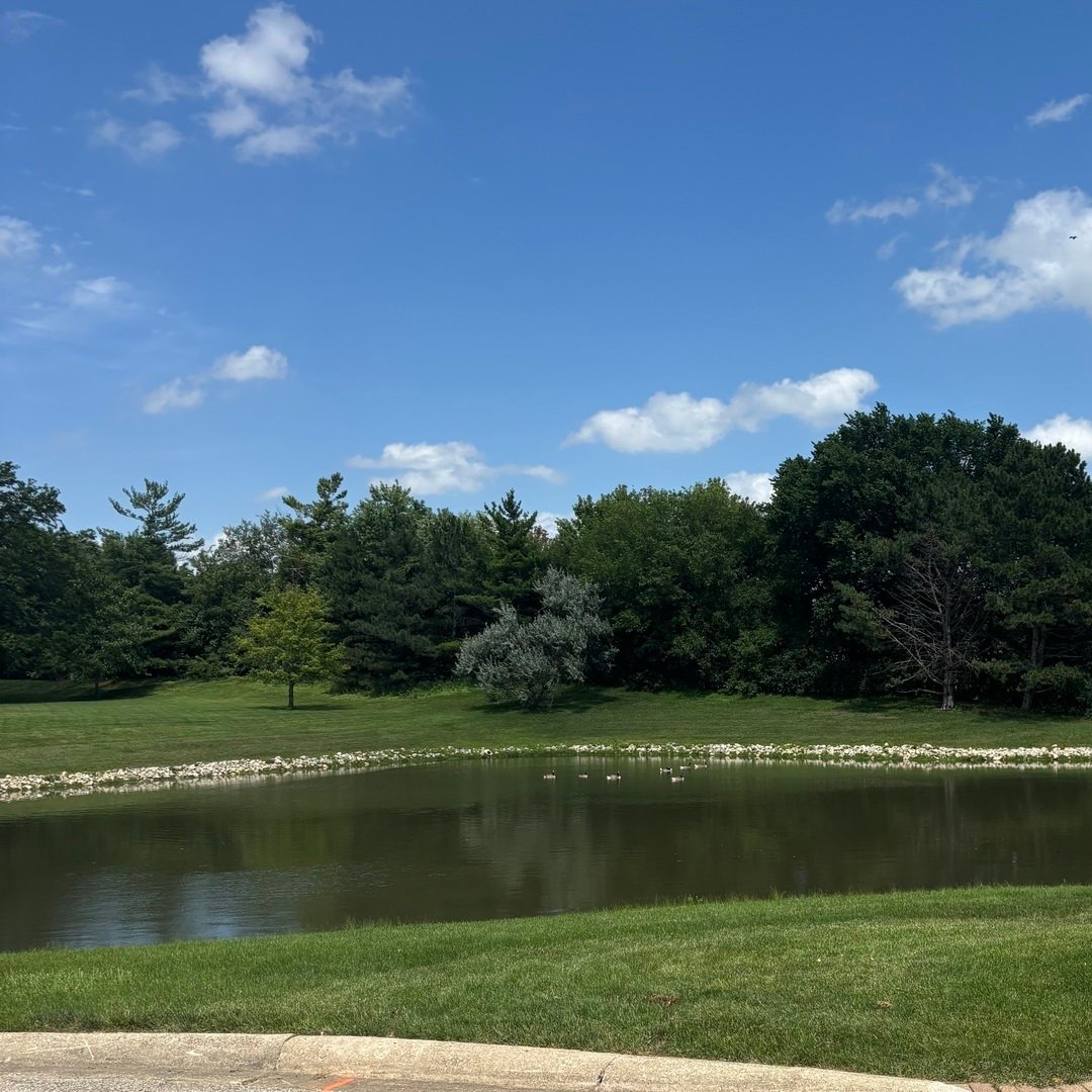 Land in Oak Brook, Illinois, United States 2 - 18304562