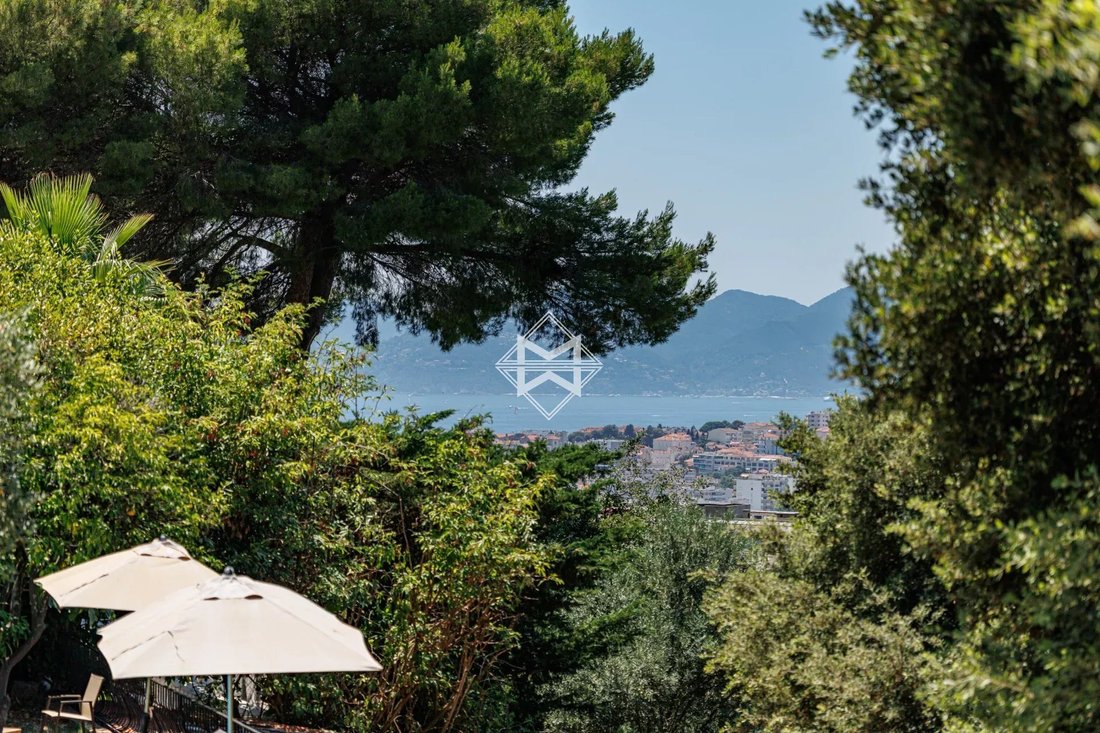 Villa in Cannes, Provence-Alpes-Côte d'Azur, France 3 - 10740767