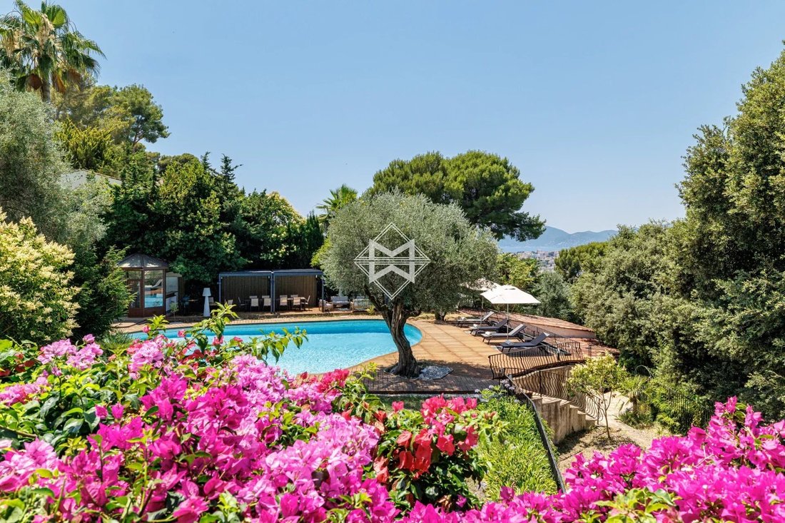 Villa in Cannes, Provence-Alpes-Côte d'Azur, France 5 - 10740767