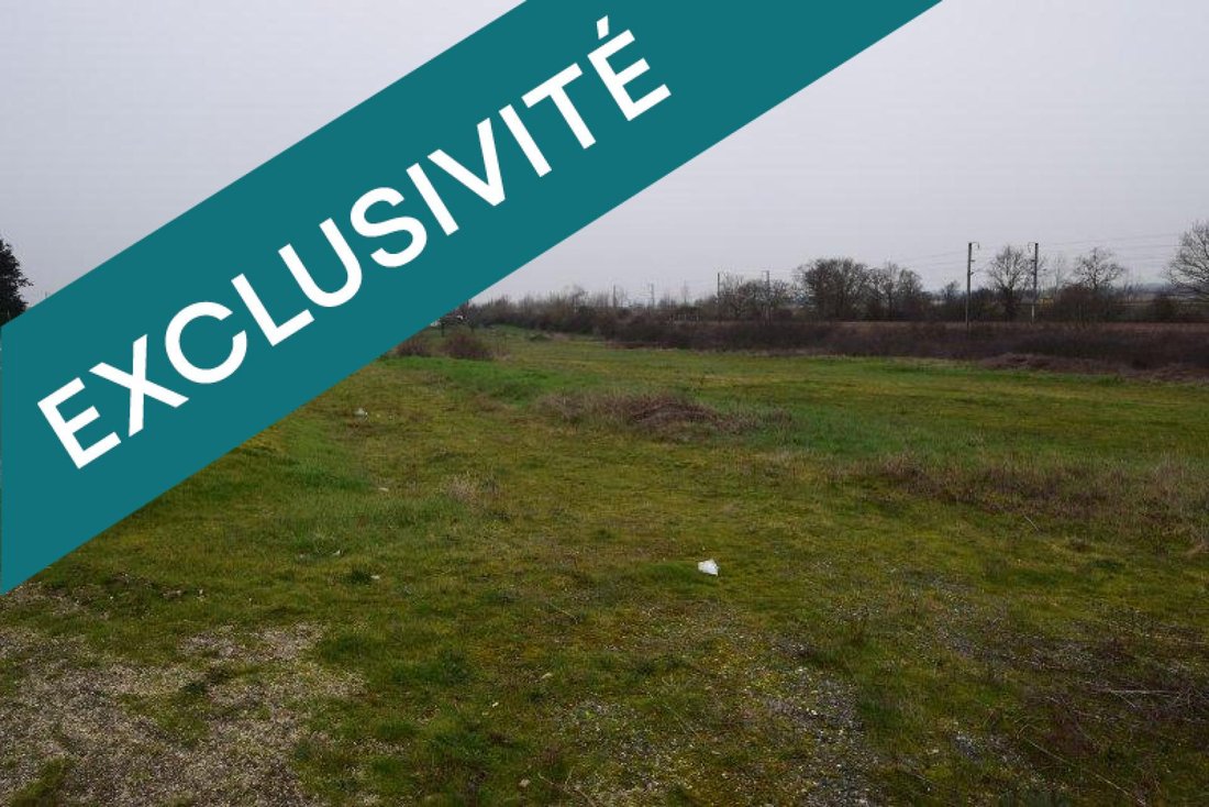 Land in Toulon-sur-Allier, Auvergne-Rhône-Alpes, France 4 - 18305443
