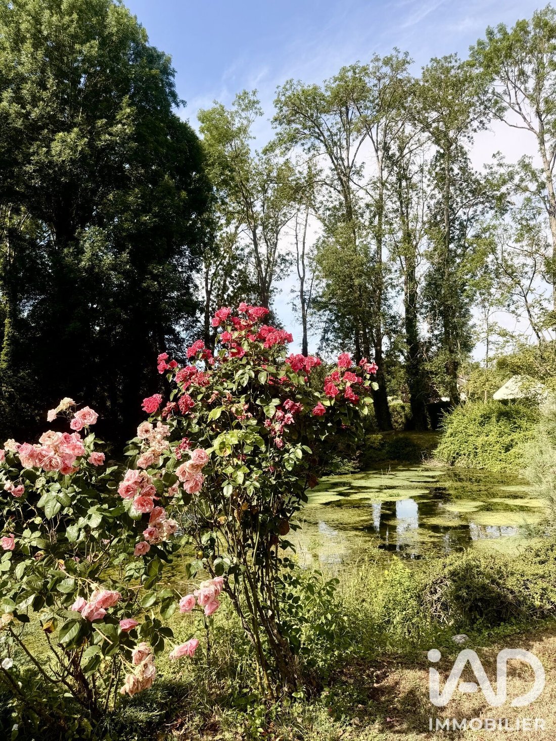 House in Nailly, Bourgogne – Franche-Comté, France 4 - 17658324