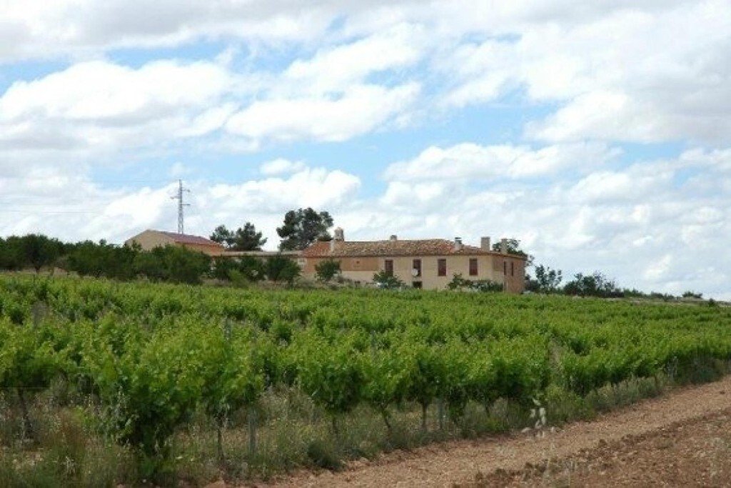 Land in Almansa, Castile-La Mancha, Spain 1 - 18304394