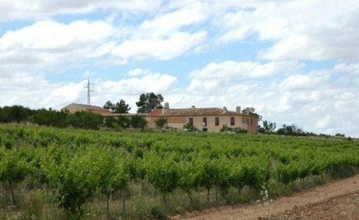 Land in Almansa, Kastilien-La Mancha, Spanien 1
