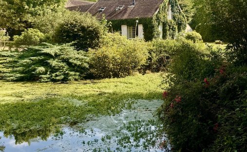 House in Nailly, Bourgogne – Franche-Comté, France 1