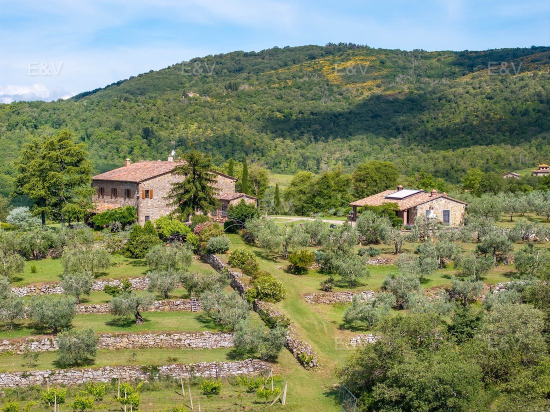 Villa à Civitella in Val di Chiana, Toscane, Italie 5 - 18305316
