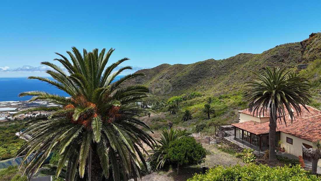 Farm Ranch in San Cristobal de La Laguna, Canary Islands, Spain 5 - 18305247