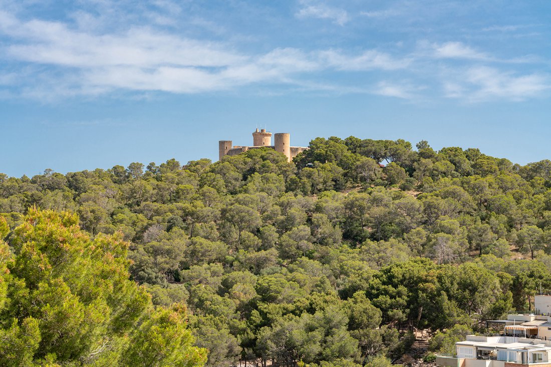 Apartment in Llubi, Balearic Islands, Spain 3 - 18298713