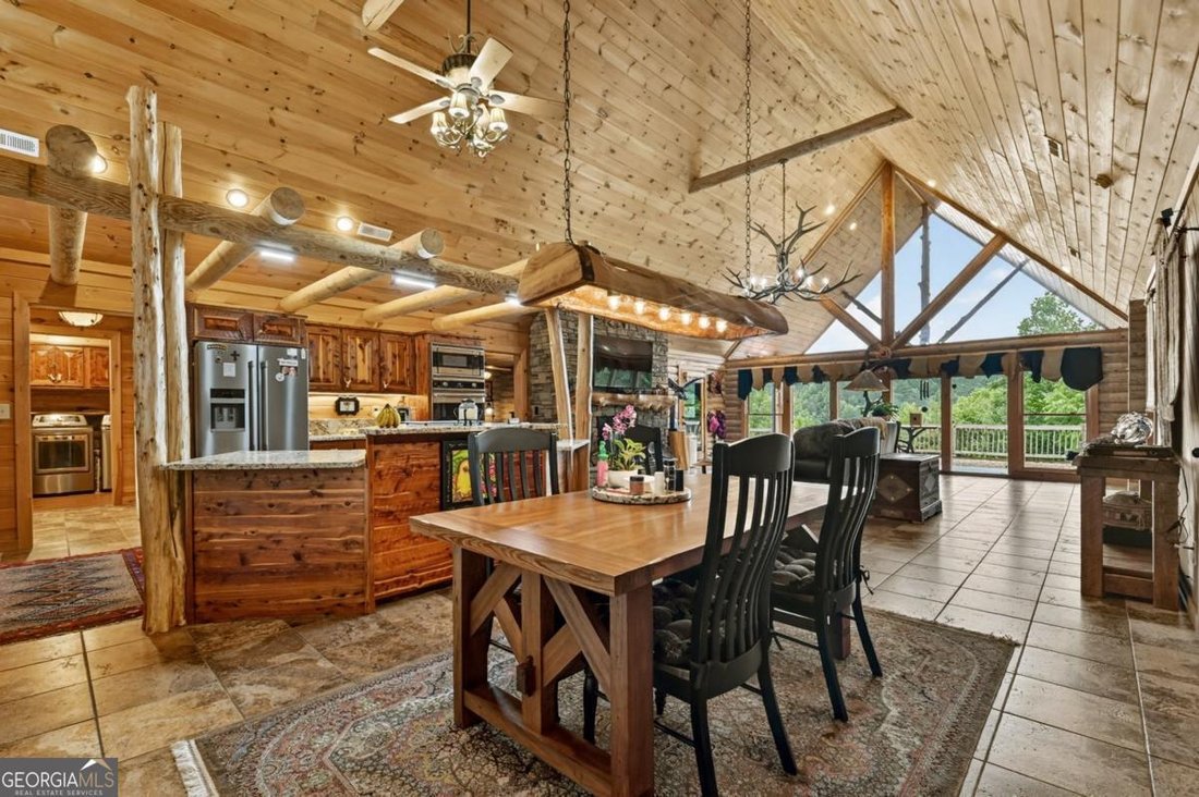 House in Mineral Bluff, Georgia, United States 4 - 18306761