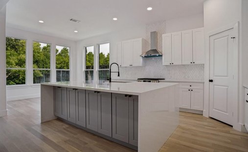 House in McKinney, Texas, United States 1
