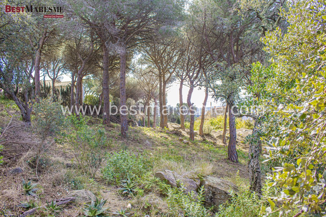 Land in Cabrera de Mar, Catalonia, Spain 3 - 18306592
