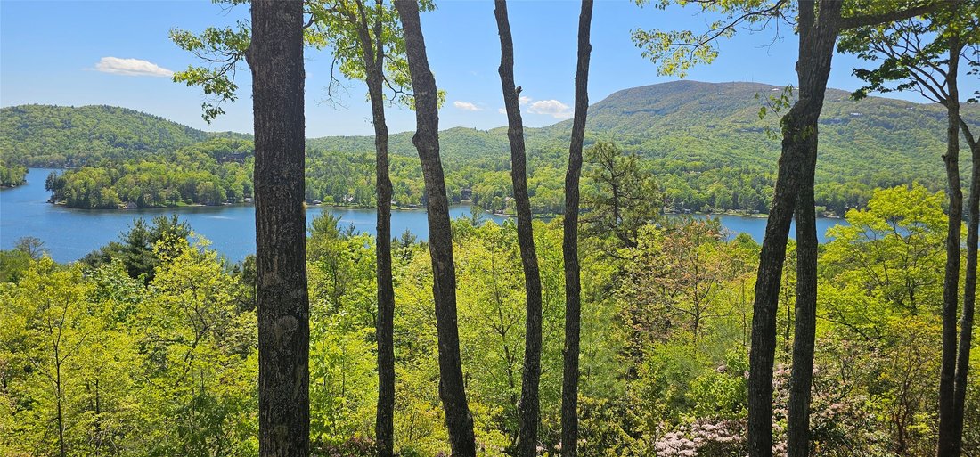 House in Lake Toxaway, North Carolina, United States 3 - 18306034