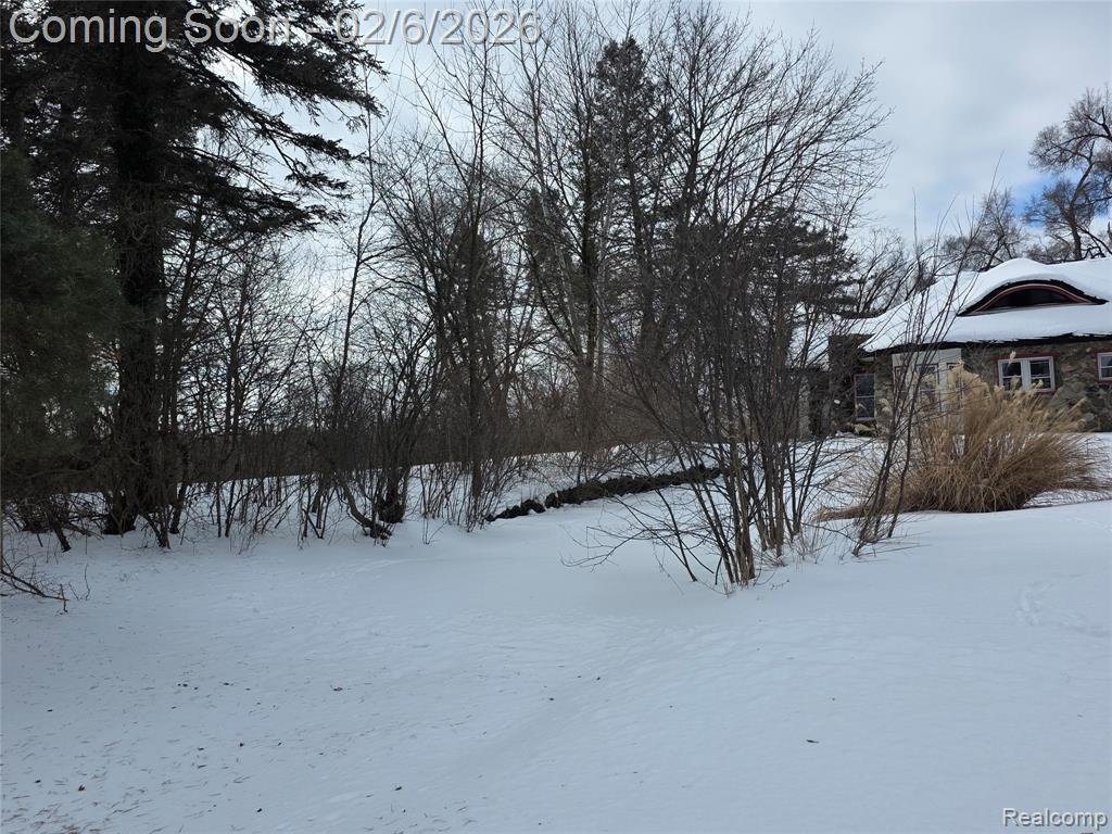 House in Plymouth, Michigan, United States 5 - 18307074