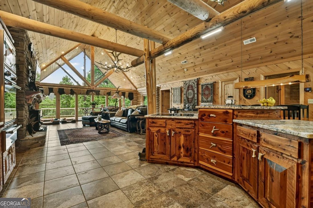 House in Mineral Bluff, Georgia, United States 5 - 18306761