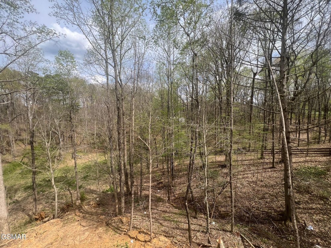 House in Sevierville, Tennessee, United States 2 - 18306689
