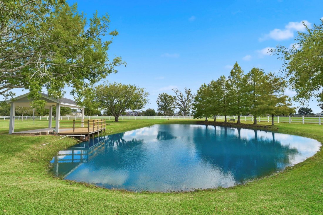 House in Rosharon, Texas, United States 4 - 18306536