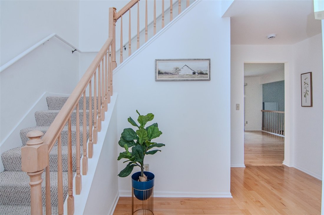 House in Ann Arbor, Michigan, United States 5 - 18308075