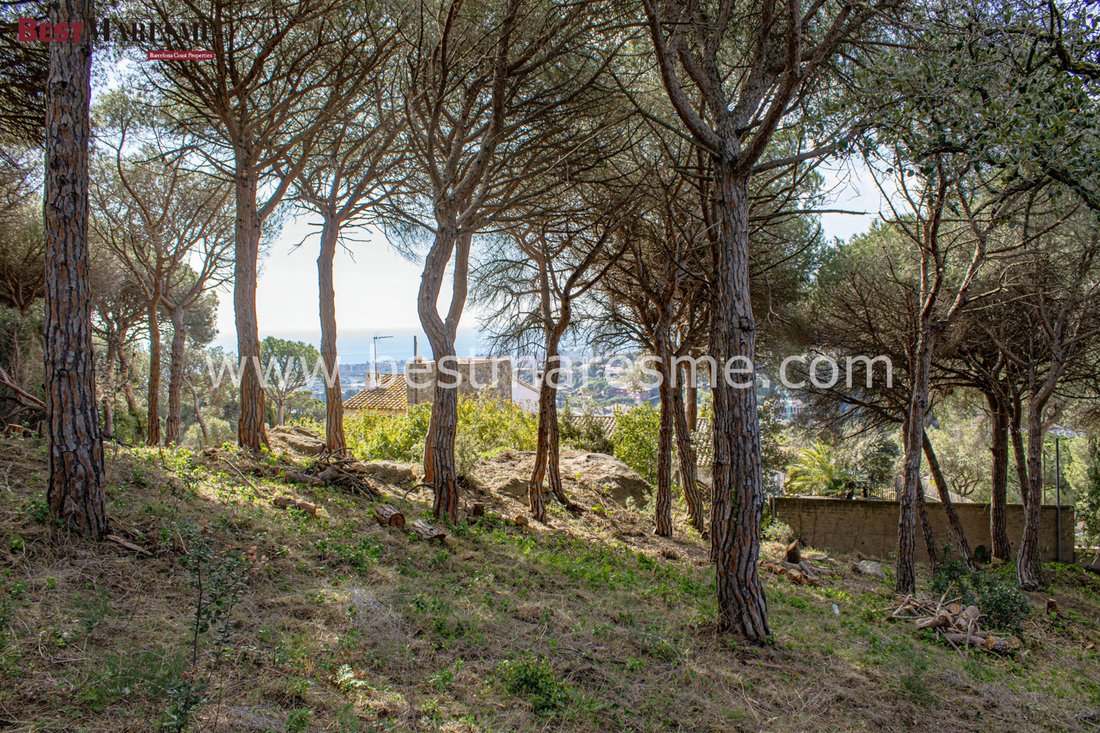 Land in Cabrera de Mar, Catalonia, Spain 4 - 18306592