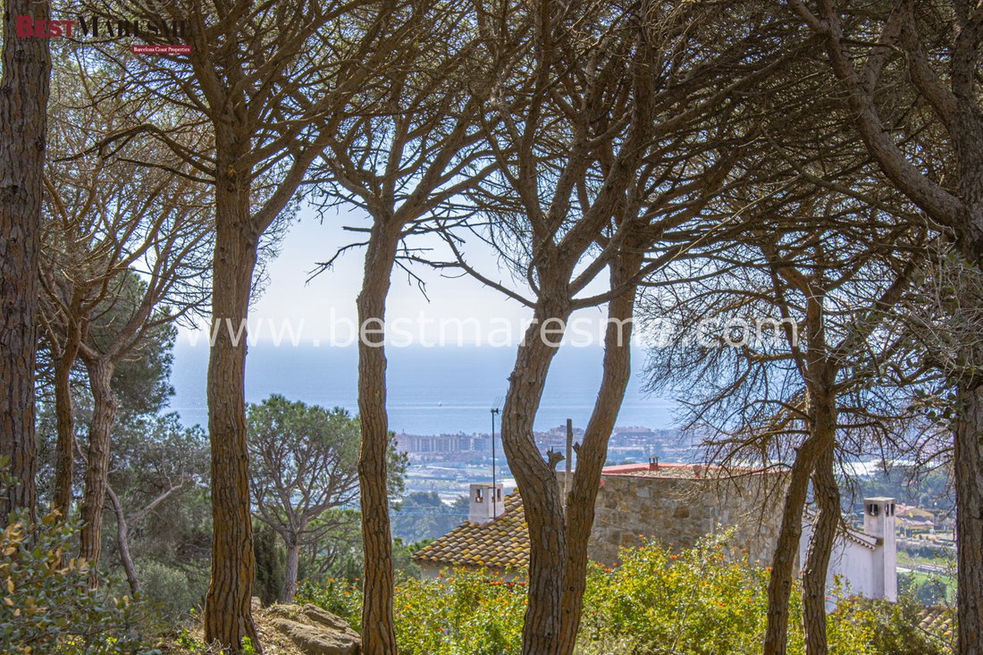 Land in Cabrera de Mar, Catalonia, Spain 2 - 18306592