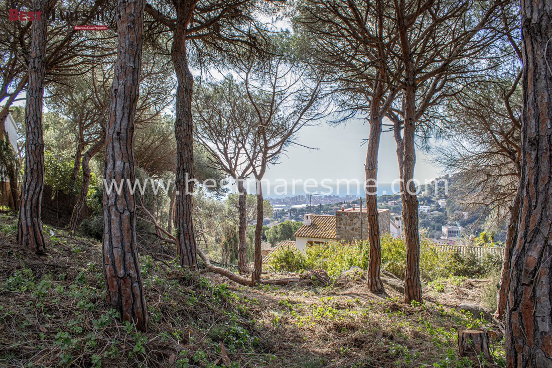 Land in Cabrera de Mar, Catalonia, Spain 5 - 18306592