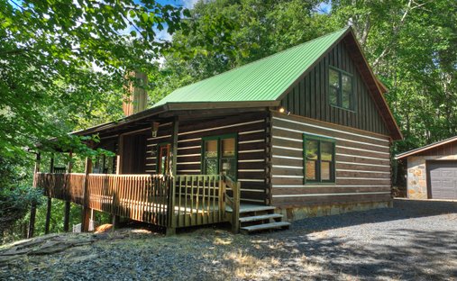 House in Mineral Bluff, Georgia, United States 1