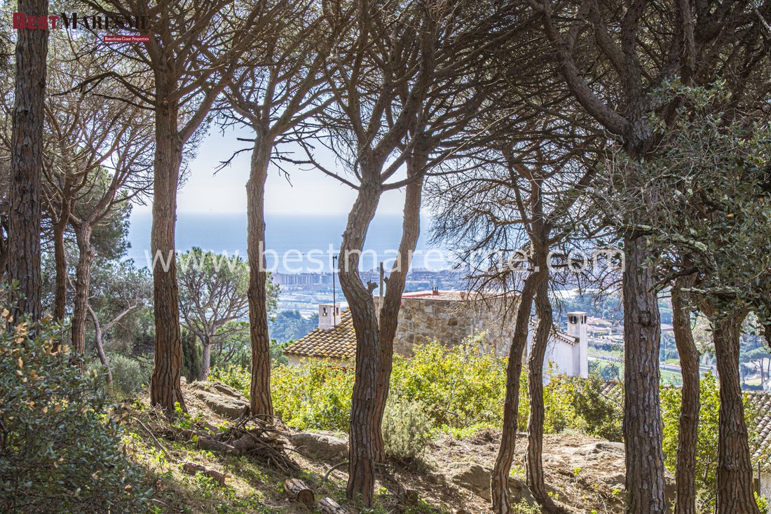 Land in Cabrera de Mar, Catalonia, Spain 1 - 18306592