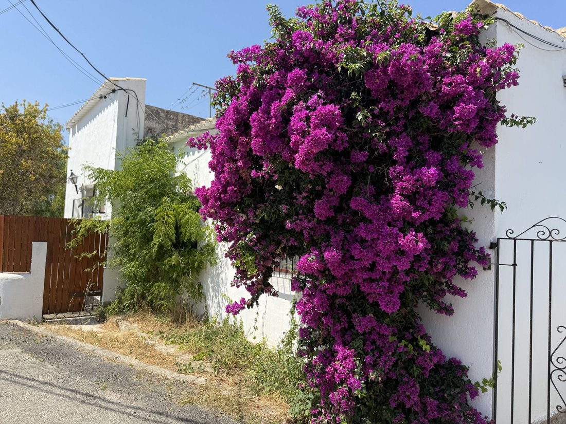 Finca in Jesus, Santa Eularia des Riu, Balearic Islands 2 - 18305957