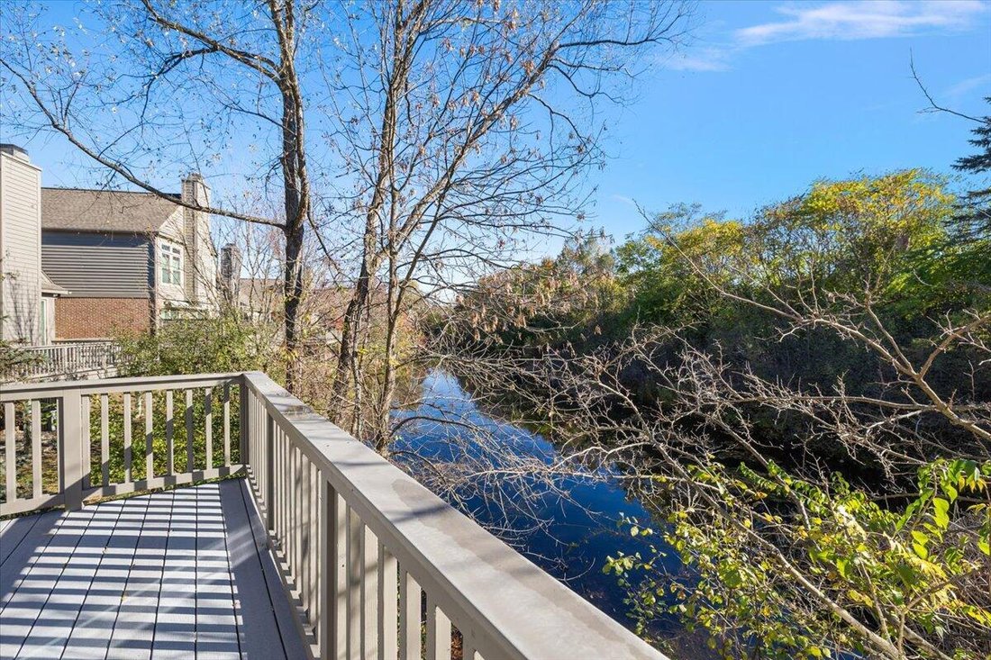 Condo in Ann Arbor, Michigan, United States 4 - 18308375